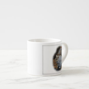 Oosterse grijze eekhoorn - Sciurus carolinensis Espresso Kop