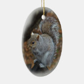 Oosterse grijze eekhoorn - Sciurus carolinensis Keramisch Ornament (Rechts)