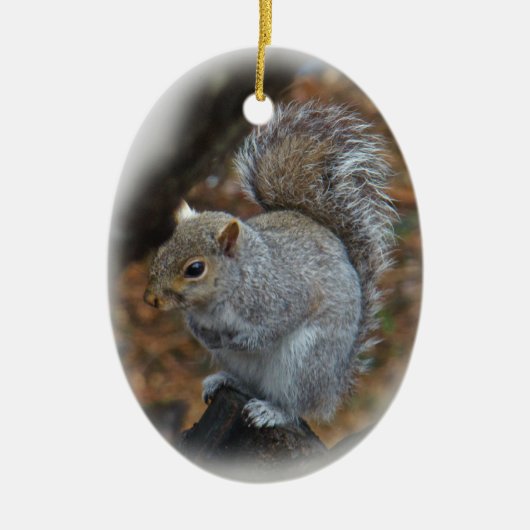 Oosterse grijze eekhoorn - Sciurus carolinensis Keramisch Ornament (Voorkant)