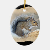 Oosterse grijze eekhoorn - Sciurus carolinensis Keramisch Ornament (Voorkant)
