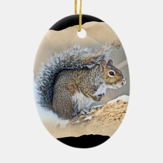 Oosterse grijze eekhoorn - Sciurus carolinensis Keramisch Ornament (Achterkant)
