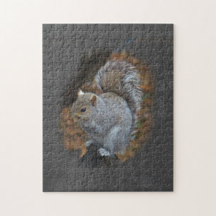 Oosterse grijze eekhoorn - Sciurus carolinensis Legpuzzel