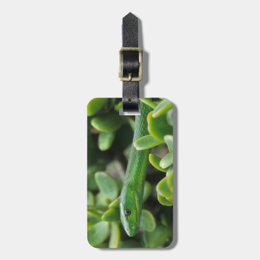 Oosterse Groene Mamba (Dendroaspis Angusticeps) Bagagelabel (Voorkant verticaal)