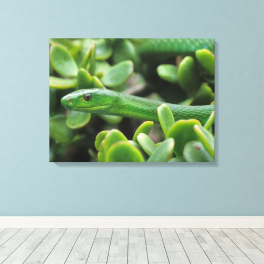Oosterse Groene Mamba (Dendroaspis Angusticeps) Canvas Afdruk (Insitu (Houten vloer))