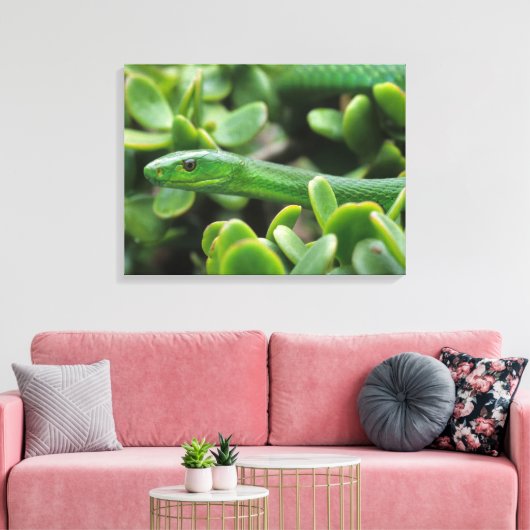 Oosterse Groene Mamba (Dendroaspis Angusticeps) Canvas Afdruk (Insitu (Woonkamer))