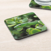 Oosterse Groene Mamba (Dendroaspis Angusticeps) Onderzetter (Linkerzijde)