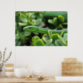 Oosterse Groene Mamba (Dendroaspis Angusticeps) Poster (Keuken)