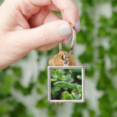 Oosterse Groene Mamba (Dendroaspis Angusticeps) Sleutelhanger (Hand)