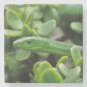 Oosterse Groene Mamba (Dendroaspis Angusticeps) Stenen Onderzetter (Voorkant)