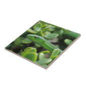 Oosterse Groene Mamba (Dendroaspis Angusticeps) Tegeltje (Zijkant)