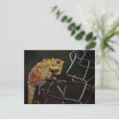 oosterse hagedis briefkaart (Staand voorkant)