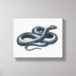 Oosterse Indigo Snake Canvas Print