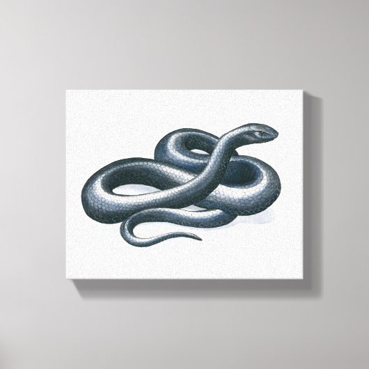 Oosterse Indigo Snake Canvas Print (Voorkant)