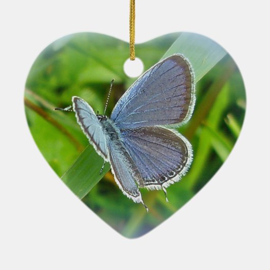 Oosterse kerstversiering blauw vlinder keramisch ornament (Achterkant)