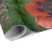 Oosterse klaproos cadeaupapier (Rol Hoek)