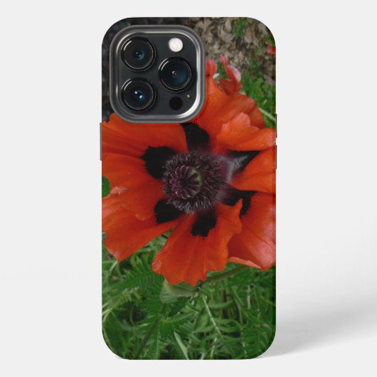 Oosterse klaproos iPhone hoesje (Achterkant)