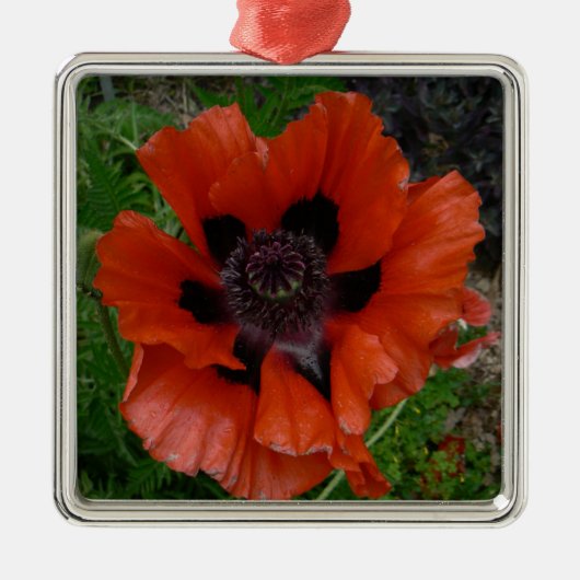 Oosterse klaproos metalen ornament (Voorkant)