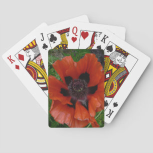 Oosterse klaproos pokerkaarten
