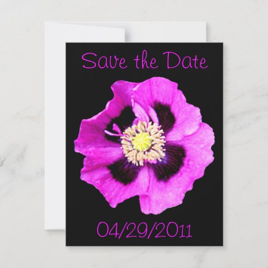 Oosterse Klaproos 'Save the Date' aankondiging zwa (Voorkant)