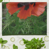 Oosterse klaproos        theedoek (Gevouwen)