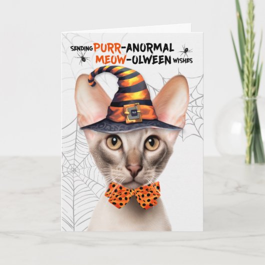 Oosterse Korthaar Kat PURRanormal MEOWolween Feestdagen Kaart (Voorkant)