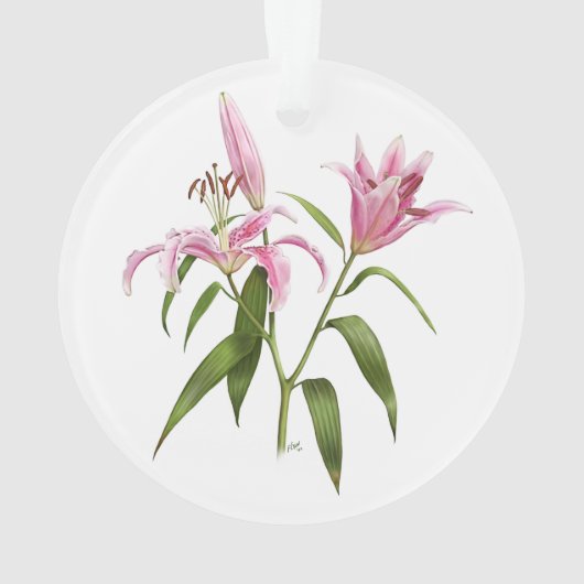 Oosterse lelie - Stargazer Ornament (achterkant)