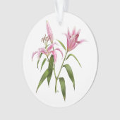 Oosterse lelie - Stargazer Ornament (voorkant)