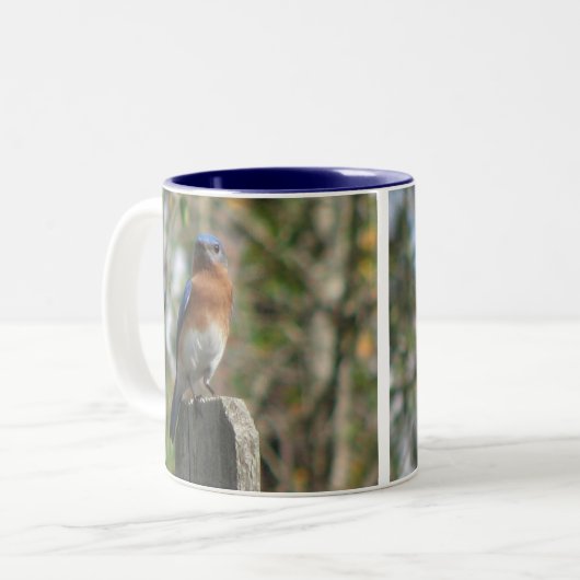 Oosterse Mok van Blauwvogels (Voorkant links)