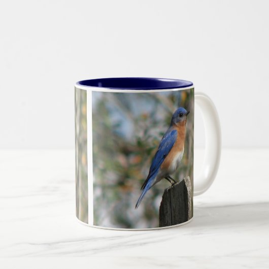 Oosterse Mok van Blauwvogels (Voorkant rechts)