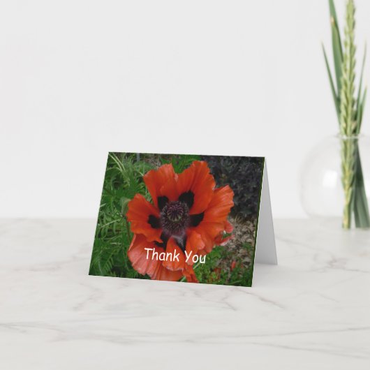 Oosterse papaver bedankkaart (Voorkant)