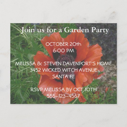 Oosterse papaver briefkaart (Voorkant)