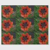 Oosterse papaver cadeaupapier (Vlak)