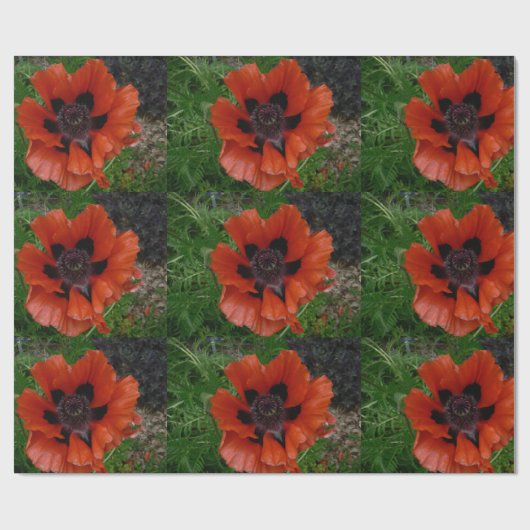 Oosterse papaver cadeaupapier (Vlak)