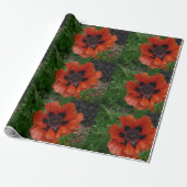 Oosterse papaver cadeaupapier (Uitgerold)