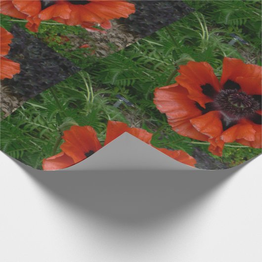 Oosterse papaver cadeaupapier (Hoek)