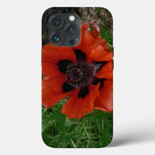 Oosterse papaver Case-Mate iPhone case (Achterkant)