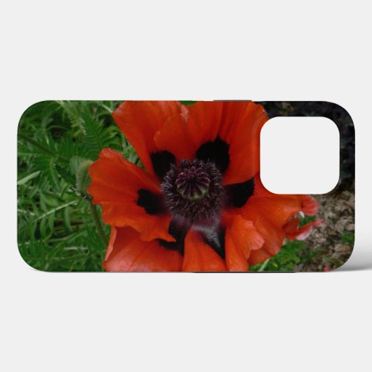Oosterse papaver Case-Mate iPhone case (Achterkant (horizontaal))