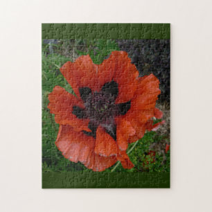 Oosterse papaver legpuzzel