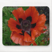 Oosterse papaver muismat (Voorkant)