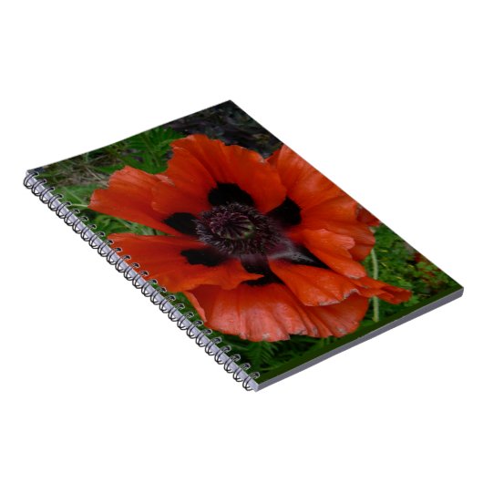 Oosterse papaver notitieboek (Rechterzijde)