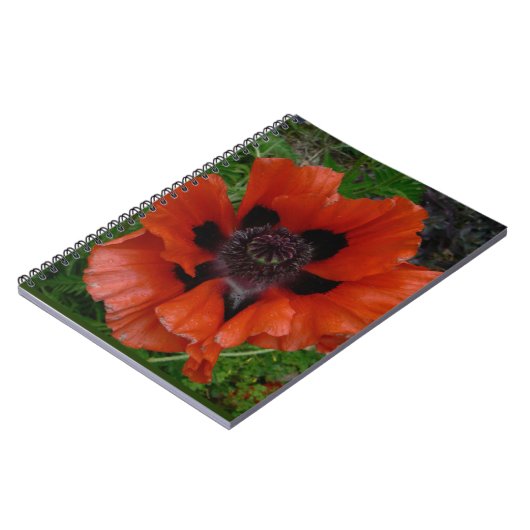 Oosterse papaver notitieboek (Linkerzijde)