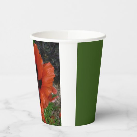 Oosterse papaver papieren bekers (Links)