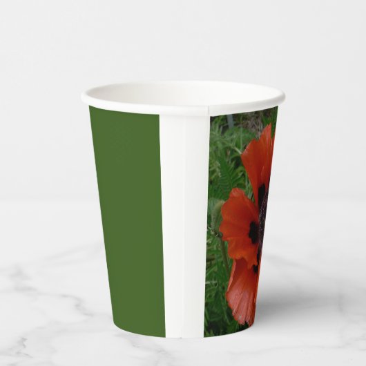 Oosterse papaver papieren bekers (Rechts)