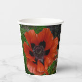 Oosterse papaver papieren bekers (Voorkant)