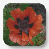 Oosterse papaver papieren bordje (Voorkant)
