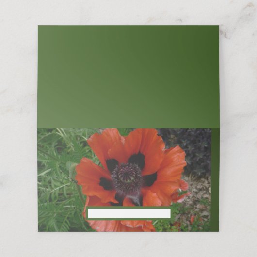 Oosterse papaver plaatskaartje (Buitenkant ongevouwen)