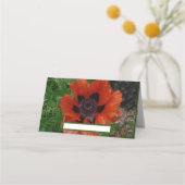 Oosterse papaver plaatskaartje (Voorkant)