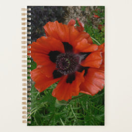 Oosterse papaver planner