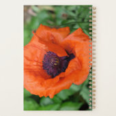 Oosterse papaver planner (Achterkant)