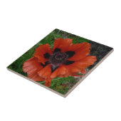 Oosterse papaver tegeltje (Zijkant)